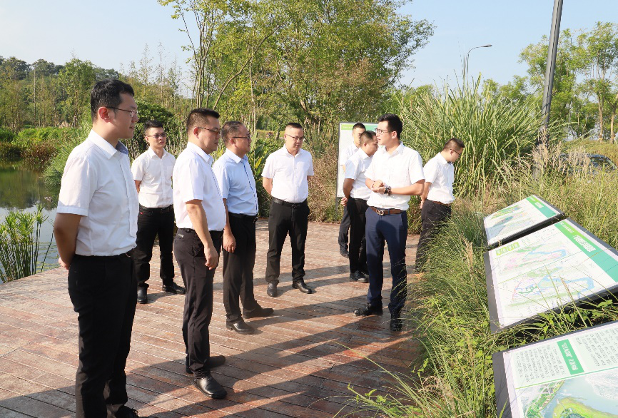 重庆大渡口区副区长钟渝一行到三公司重庆分公司生态治理项目考察调研