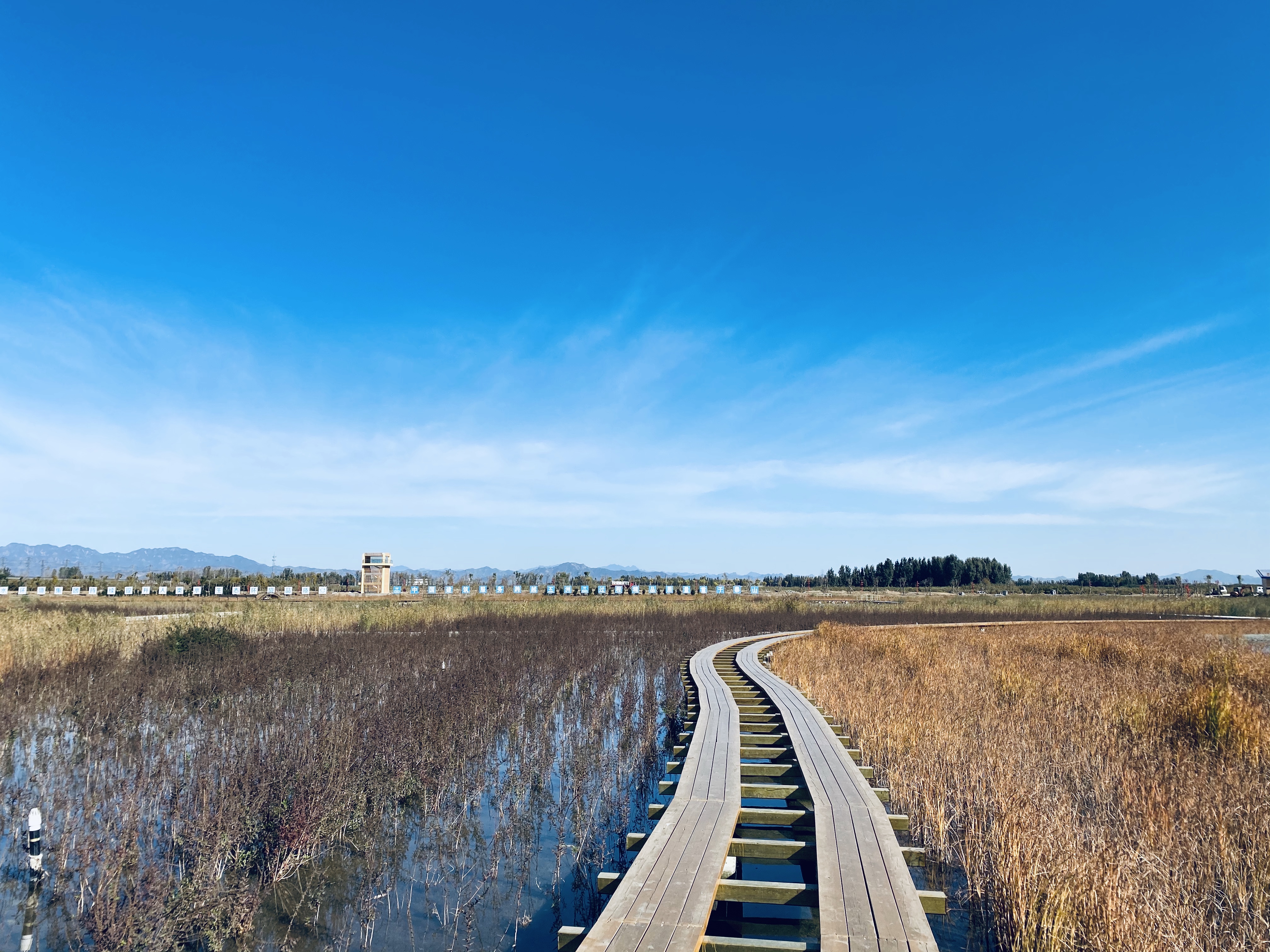 木栈道 (2).jpg 木栈道 (2).jpg