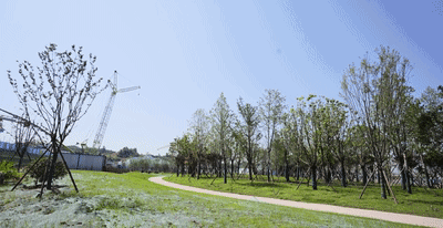 aa4fb4135d1fc8152c935613b33e0956-sz_1000162.gif